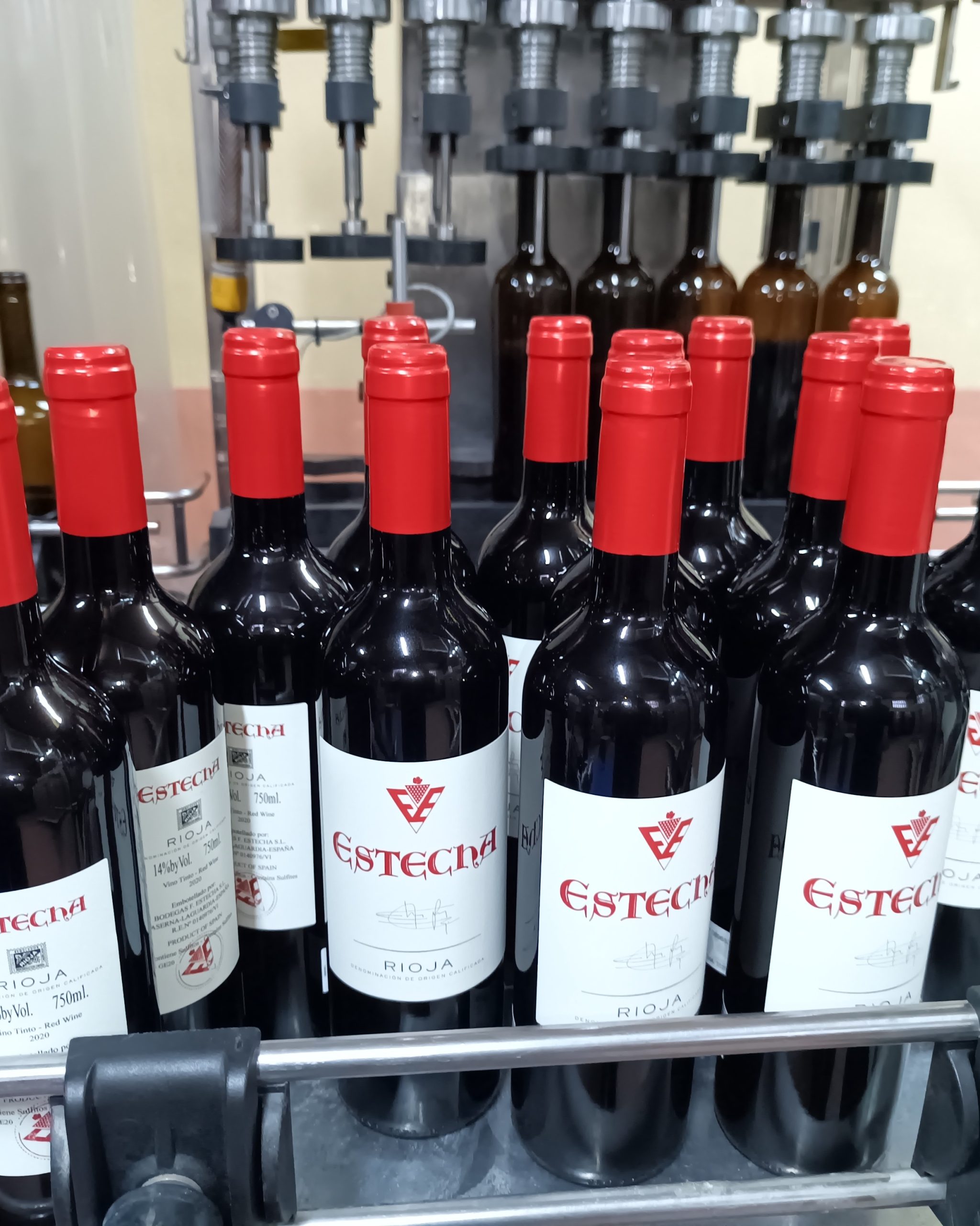 IMG_20250327_102625_887